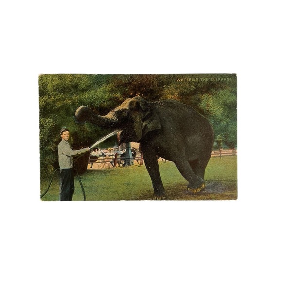 Antique 1912 Ephemera Posted Signed Postcard Best Wishes Elephant Handler Litho - Picture 2 of 8